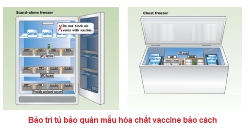 luu y khi su dung tu bao quan mau hoa chat vac xin bao tri dung cach